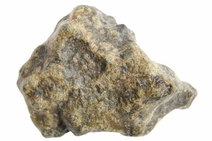 Martian Shergottite Meteorite ( g) - Amgala #268604